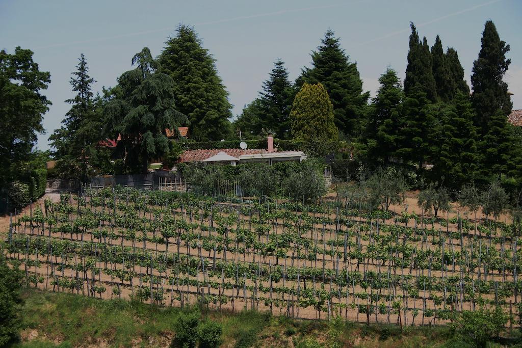 Agriturismo Podere La Fornace Cavriglia Esterno foto