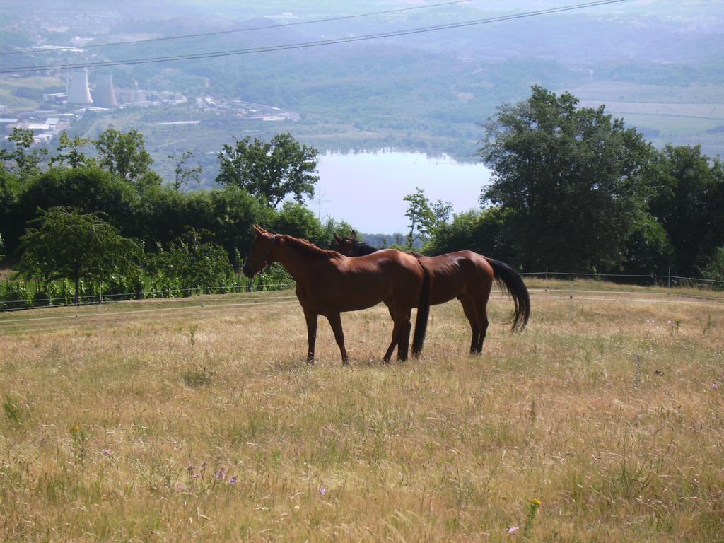 Agriturismo Podere La Fornace Cavriglia Esterno foto