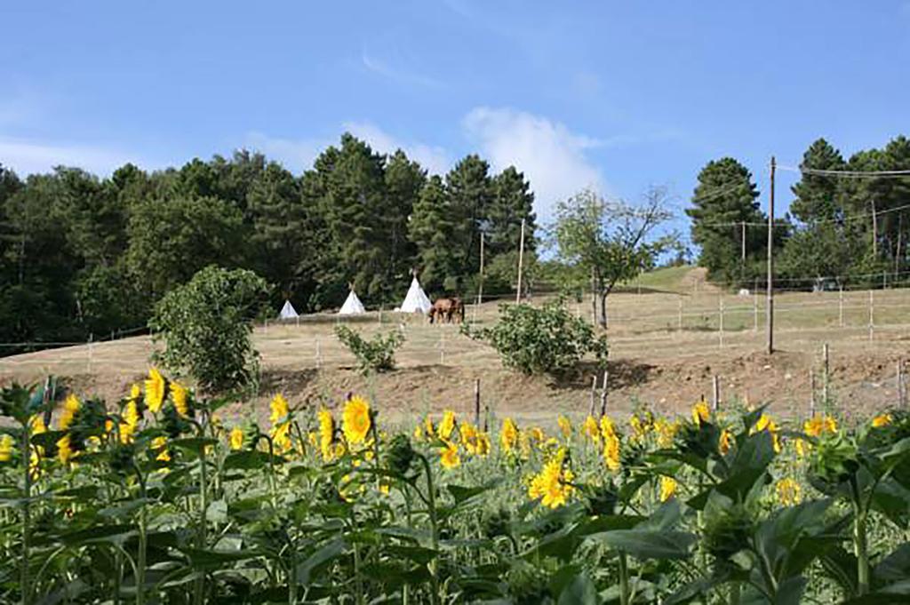 Agriturismo Podere La Fornace Cavriglia Esterno foto